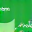 Logo Garmin